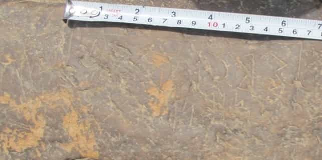 الشرعي الحمة 5